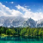 A lake surrounded by pine trees with mountains in the background