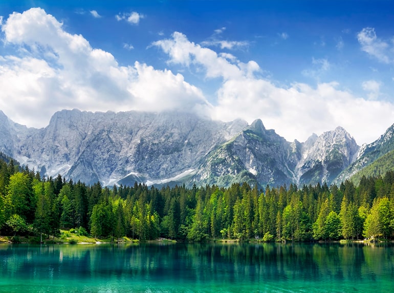 A lake surrounded by pine trees with mountains in the background