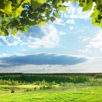 Bright sunlight shines down on green meadows