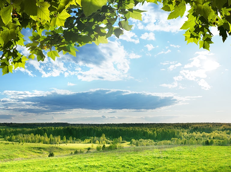 Bright sunlight shines down on green meadows